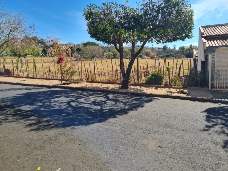 Lote